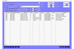 Program pentru registre genealogice